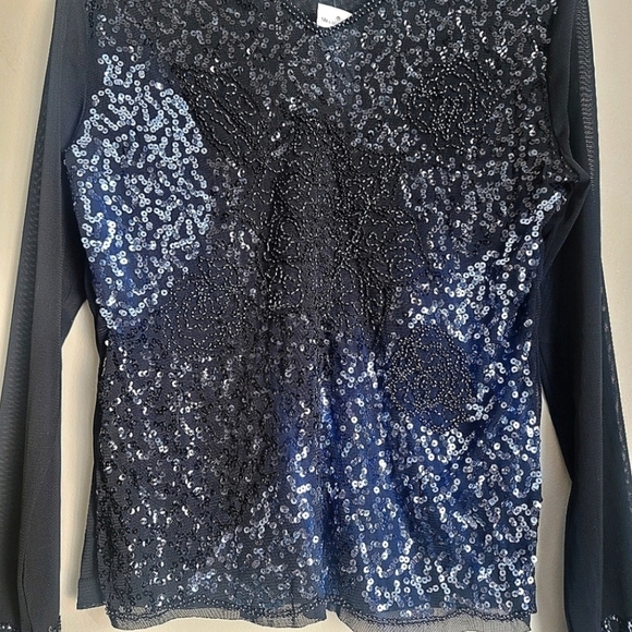 NWT Melanie Lyne Textured Sequins Chiffon Long Sleeve Top  Size Medium - Picture 5 of 13